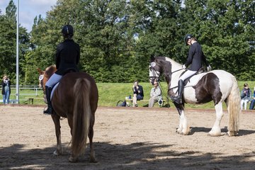 Bild 26 - Pony Akademie Turnier